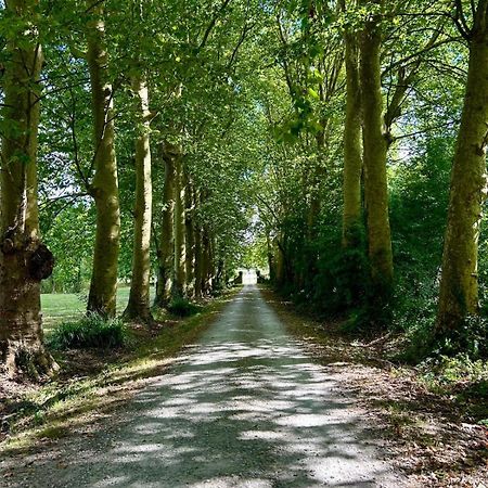Domaine De Fontsauzine - Gites Et Chambre D'Hotes Genouille  Bagian luar foto